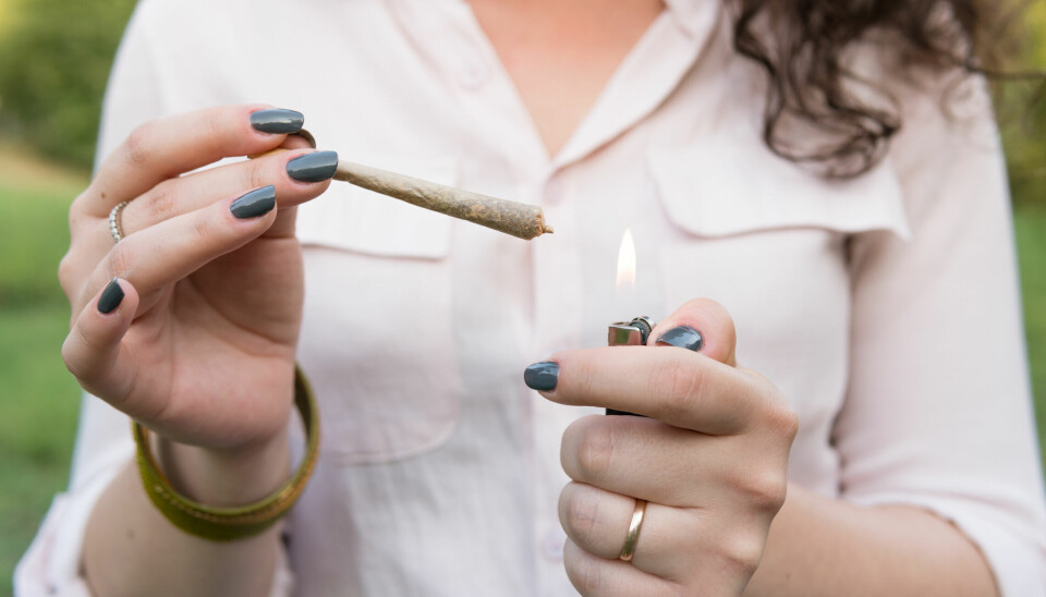 Cannabismarkedet er som et pengetrykkeri for de kriminelle gjengene. Det er utopisk å tro at man skal kunne løse dette med mer politi og straff, skriver Jonas Ali Ghanizadeh